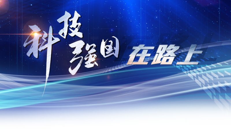 教育机构数字化转型的工具选择之道**